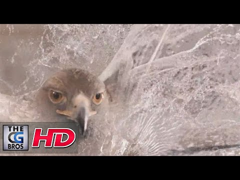 CGI VFX Spot : "Animals" - by Ignyte