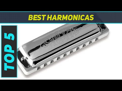 Best Harmonicas 2023