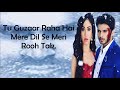 Tu Guzar Raha Hai Mere Dil Se Meri Rooh Tak Ek Deewana Tha