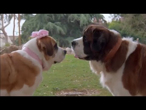 The Day I Fall In Love (Feat. Dolly Parton)