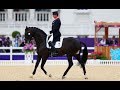 Aaron Smith Dancin Equestrian Video Music Dressage