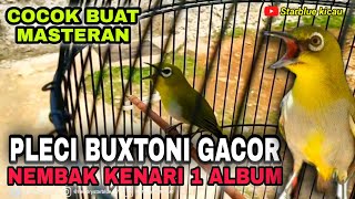 Download lagu PLECI BUXTONI GACOR UEDDAN NEMBAK KENARI 1 ALBUM || HELDER 》FAUZI KOYOUNK mp3