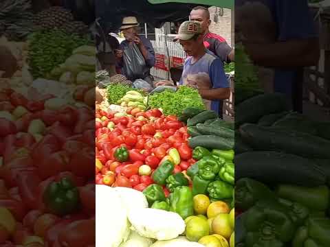 Feira Livre de Vila Quebec camutanga PE