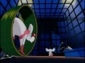 Pinky The Brain What Do You Want To Do Today