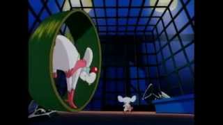 Pinky &amp; The Brain - What Do You Want To Do Today?