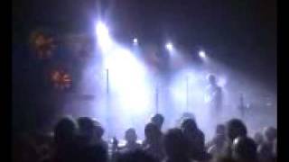 spring and by summer fall Blonde Redhead