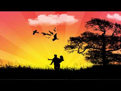 Disco Superstars and Digital Mode - I m fallin