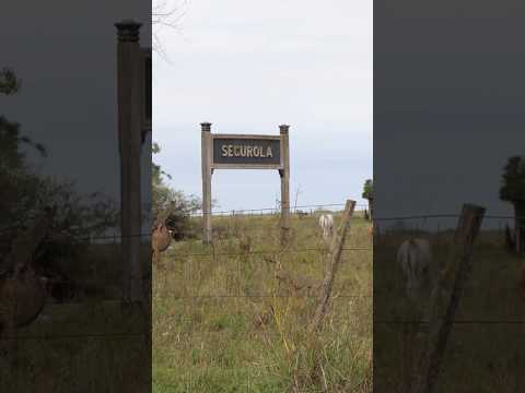 Segurola, partido Maipú, provincia de Buenos Aires  #motorcycle