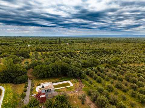 Sierra Pura: El increíble olivar de Luyaba desde el aire (4K) 🫒🚁