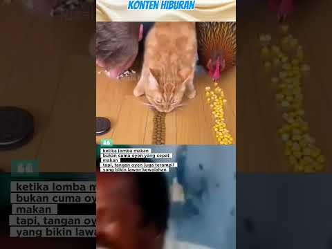 OYEN MENANG TAPI CURANG‼️ #funny #shortvideo