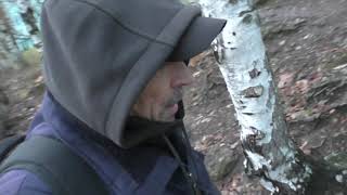 Река Охта чернеет и умирает на глазах, оставляя по берегам ядовитую отраву в?