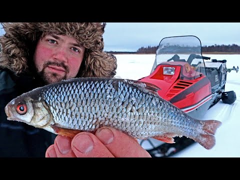 KALAA SUDENVÄYLÄLTÄ - OULUN VAARALLISIN PILKKIPAIKKA - HEIKOT JÄÄT YMPÄRI VUODEN, MYÖS JUHANNUKSENA