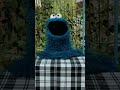 What Type Of Cookies Did Cookie Monster Buy Sesamestreet