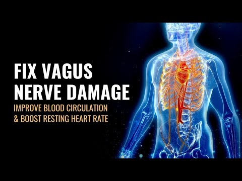 Fix Vagus Nerve Damage | Improve Blood Circulation and Boost Resting Heart Rate | Relax & De-Stress