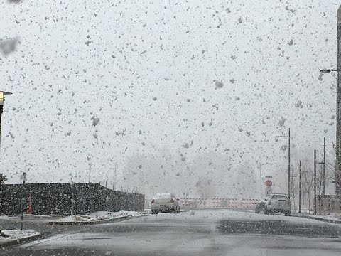 Your Denver Winter Storm Weather Update 3/13/21 ❄️