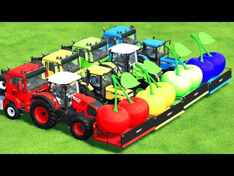 GIANT CHERRIES TRANSPORTING WITH CLAAS, CASE TRACTORS & MAN TRUCKS - Farming Simulator 22