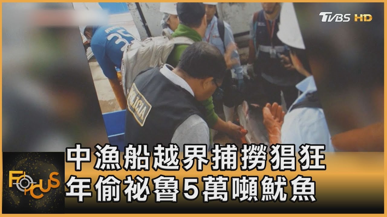中漁船越界捕撈猖狂 年偷祕魯5萬噸魷魚