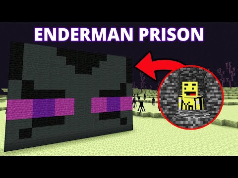Can I ESCAPE the Minecraft ENDERMAN PRISON?
