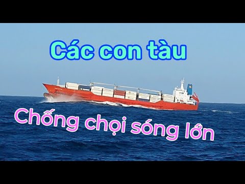 Vlog#23 Cảnh các con tàu vượt sóng lớn , tại khu vực biển dữ .