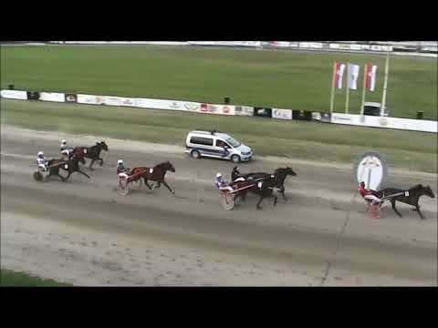 KK BAČKA Subotica 23.08.2020. sedma trka  Poliklinika Petrov Senta Novi Sad