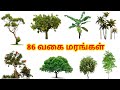 85 வகை மரங்கள் Types Of Trees Marangalin Vagaigal
