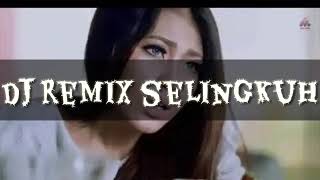 Download lagu Dj remix selingkuh mp3