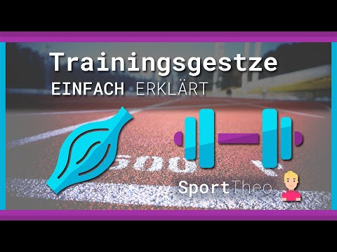 Training principles explained simply | Sporttheo.de