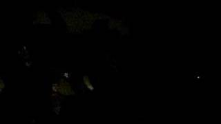 Dem Heizman Boys LIVE!!!!!!