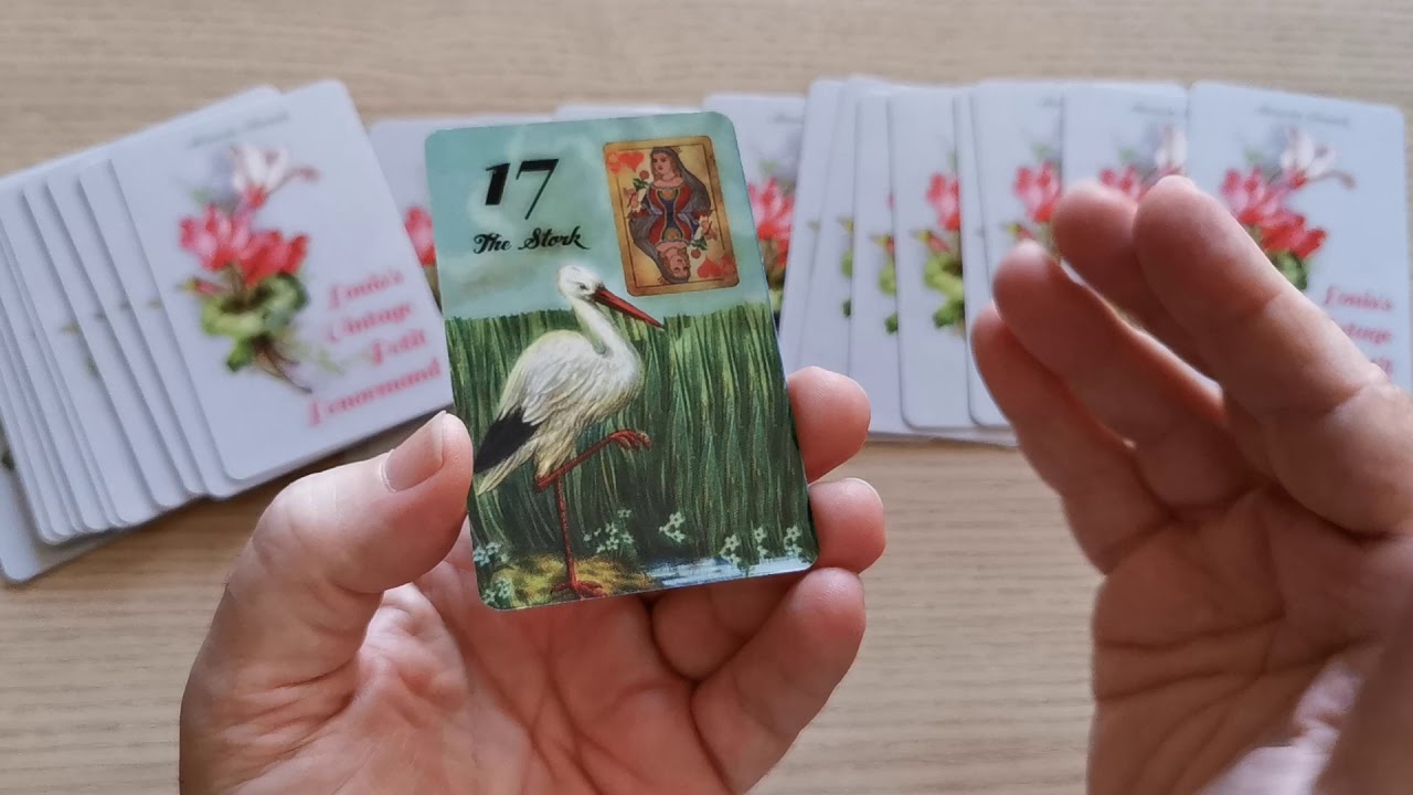 Carta do Dia:  CEGONHA