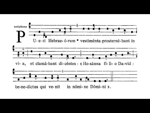 Dominica II in Passionis seu in Palmis (Palm Sunday) - Antiphona (Pueri Hebraeorum vestimenta)