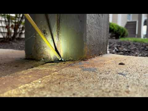 Lots of Yellow Jackets Coming Out of the...