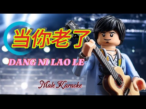 Dang Ni Lao Le 当你老了  _ Mandarin Song Karaoke No Vokal _ Male Key