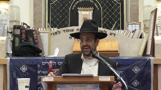 הרב מאיר אליהו | ספר הזוהר - חלק ב׳ | יזדים