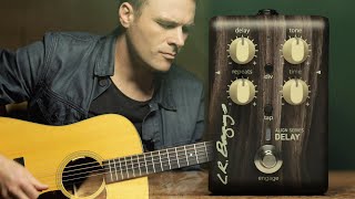 Video thumbnail for Align Series Delay | Anthem SL by LR Baggs