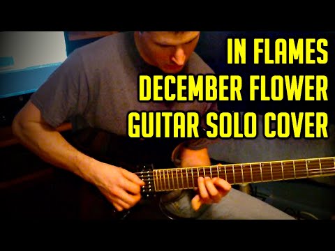 In Flames - December Flower - Guitar Solo Cover (Fredrik Johansson)
