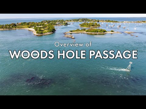 Holes - Woods