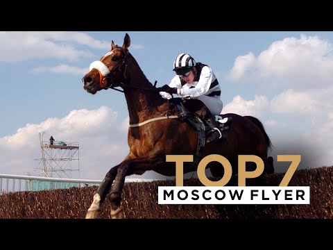 MOSCOW FLYER'S TOP 7 WINS AT JOCKEY CLUB COURSES INCLUDING CHELTENHAM & AINTREE