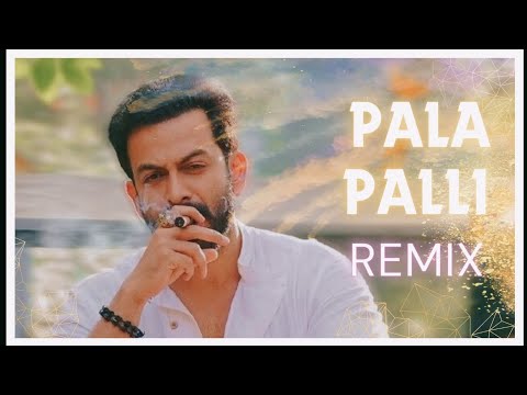 Pala Palli Thiruppali || Dj Remix || Circuit House || Tapori || KADUVA