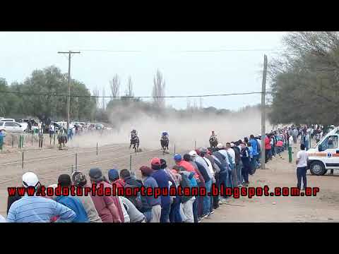 Indio, San Luis (25-8-19)