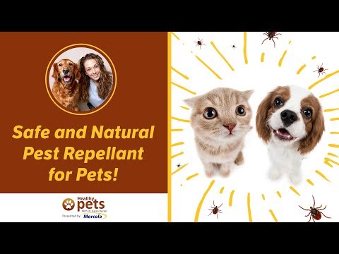 A Safe and Natural Pest Repellant for Pets!