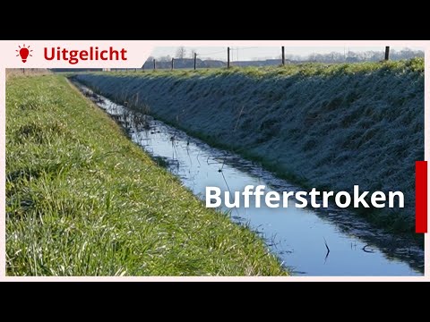 Uitgelicht | Bufferstroken: wat zijn de regels?