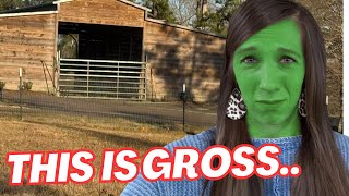 SCARED ME! I Was Screaming! | NOT Expecting This in My Barn 