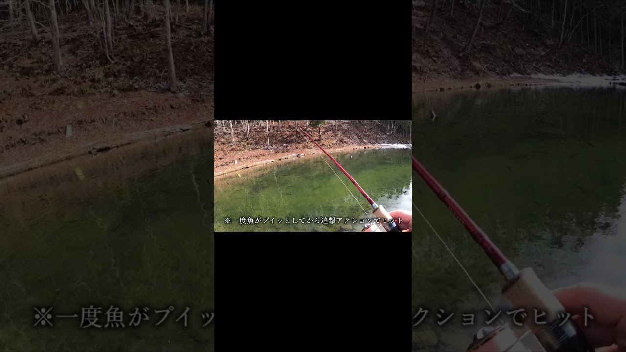 あいづフィッシングエリアでACT-45ss炸裂！！(2025年12月23日)