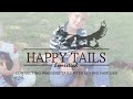 Miniature Dachshund dogs for sale: Tootsie - Video 1