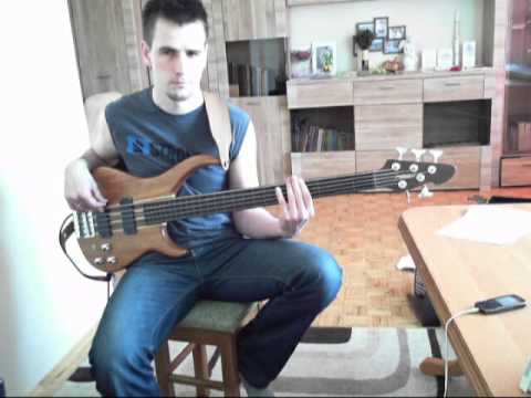 Black Velvet Alannah Myles - Fretless bass cover