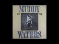 Muddy Waters – Mean Old Frisco Blues - Blues Berry Muddy Waters – Mean Old Frisco Blues