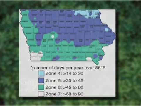 download lagu mp3 mp4 Growing Zones In Iowa, download lagu Growing Zones In Iowa gratis, unduh video klip Growing Zones In Iowa