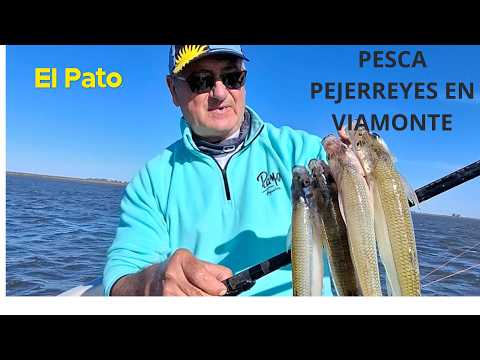PEJERREYES EN VIAMONTE - PESQUERO LA GRINGA