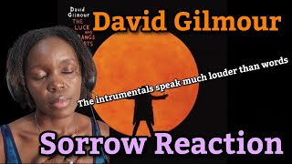 David Gilmour - Sorrow (Live from the Luck and Strange Concerts) | REACTION