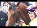 Sea The Stars 2009 World Champion Of Racing